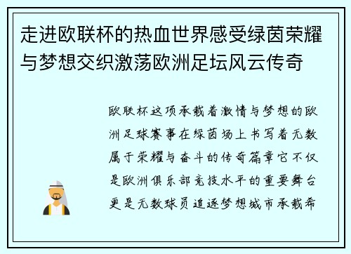 走进欧联杯的热血世界感受绿茵荣耀与梦想交织激荡欧洲足坛风云传奇